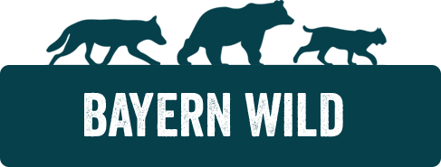 Bayern Wild